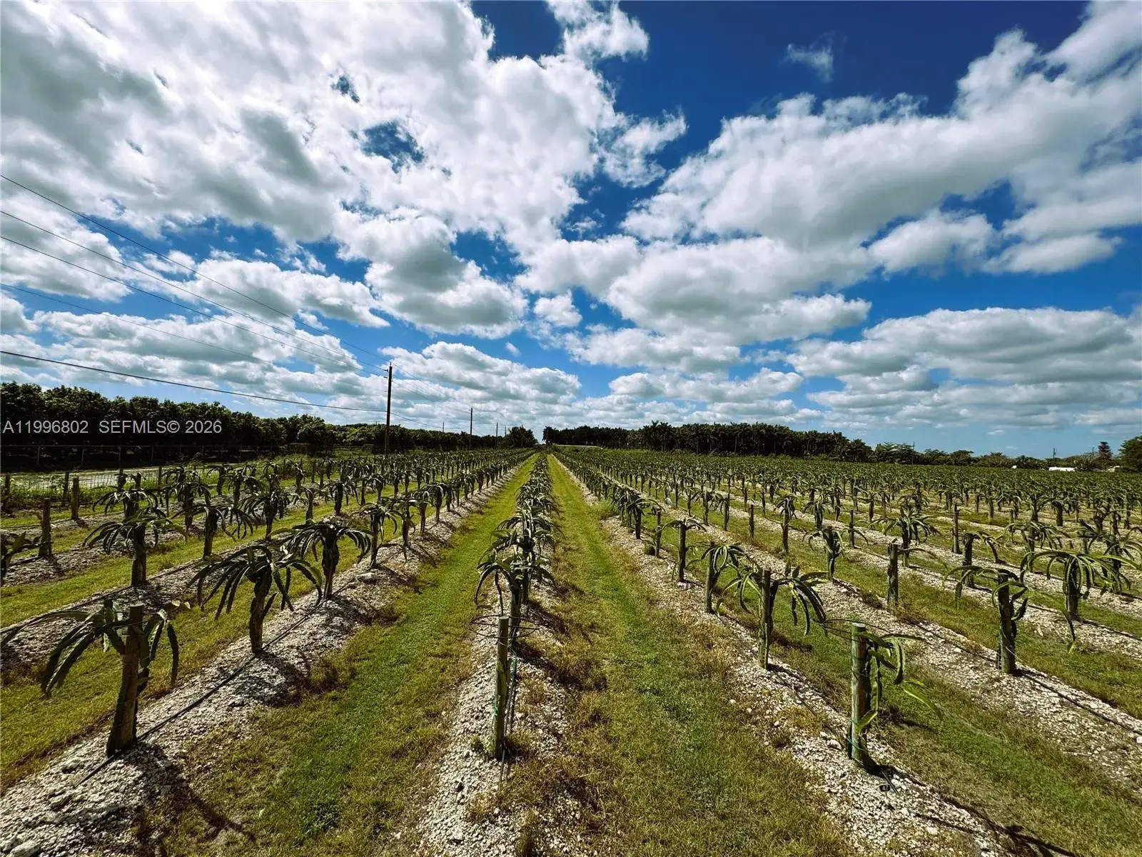 Commercial Land for sale at 152xx SW 197th Ave, Miami FL 33196