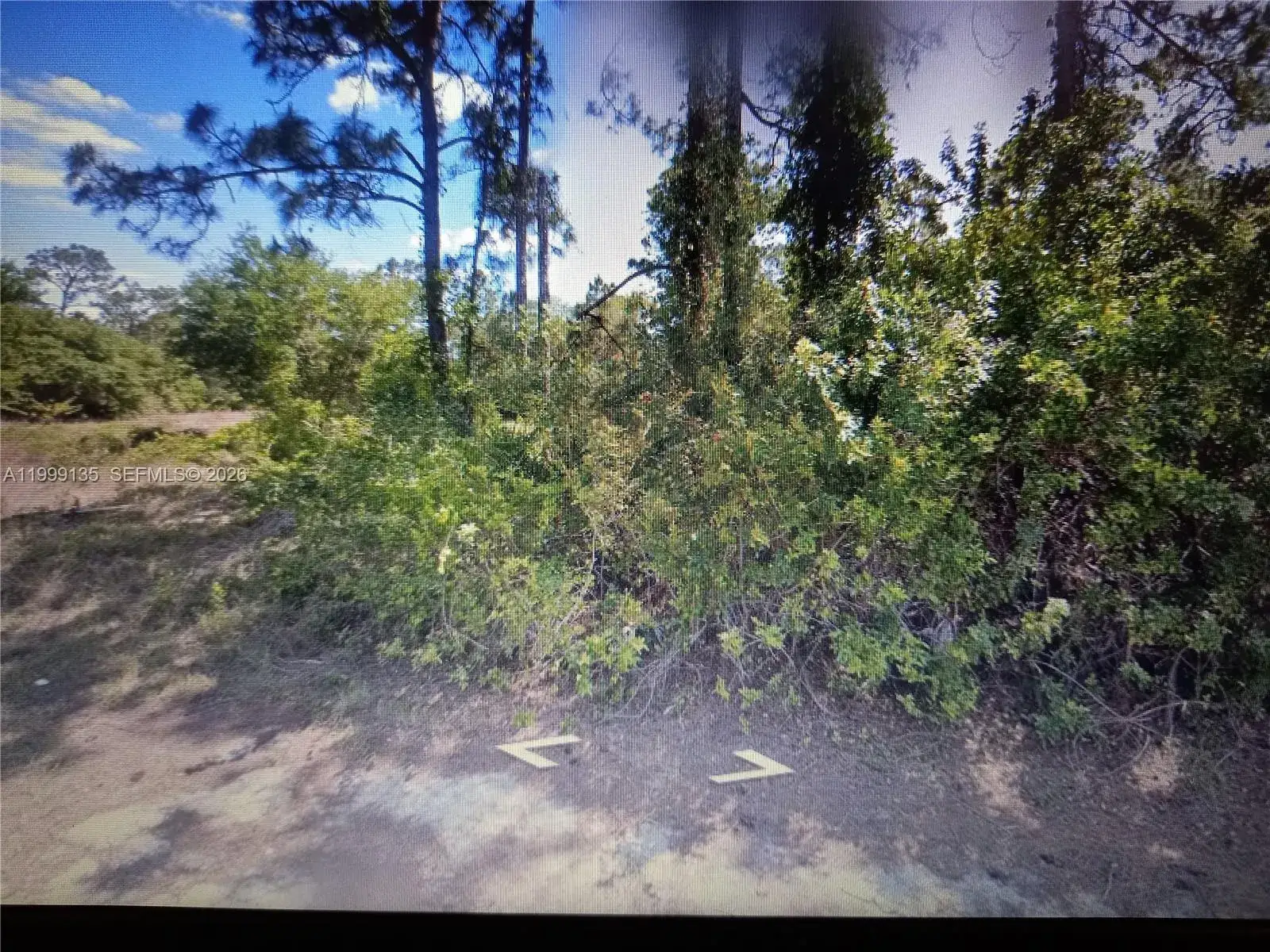 Land/Boat Docks for sale at 306 Tyrone ave, Lehigh Acres FL 33972