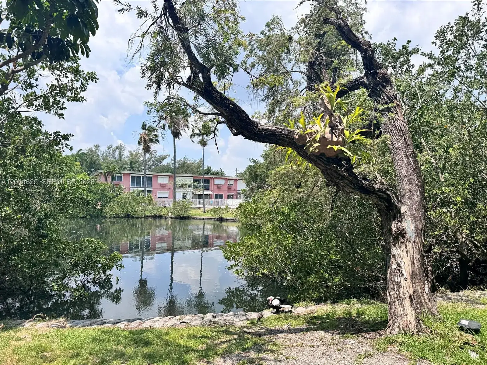 1 bedroom 1 bath Residential for sale at 12590 NE 16th Ave # 209, North Miami FL 33161