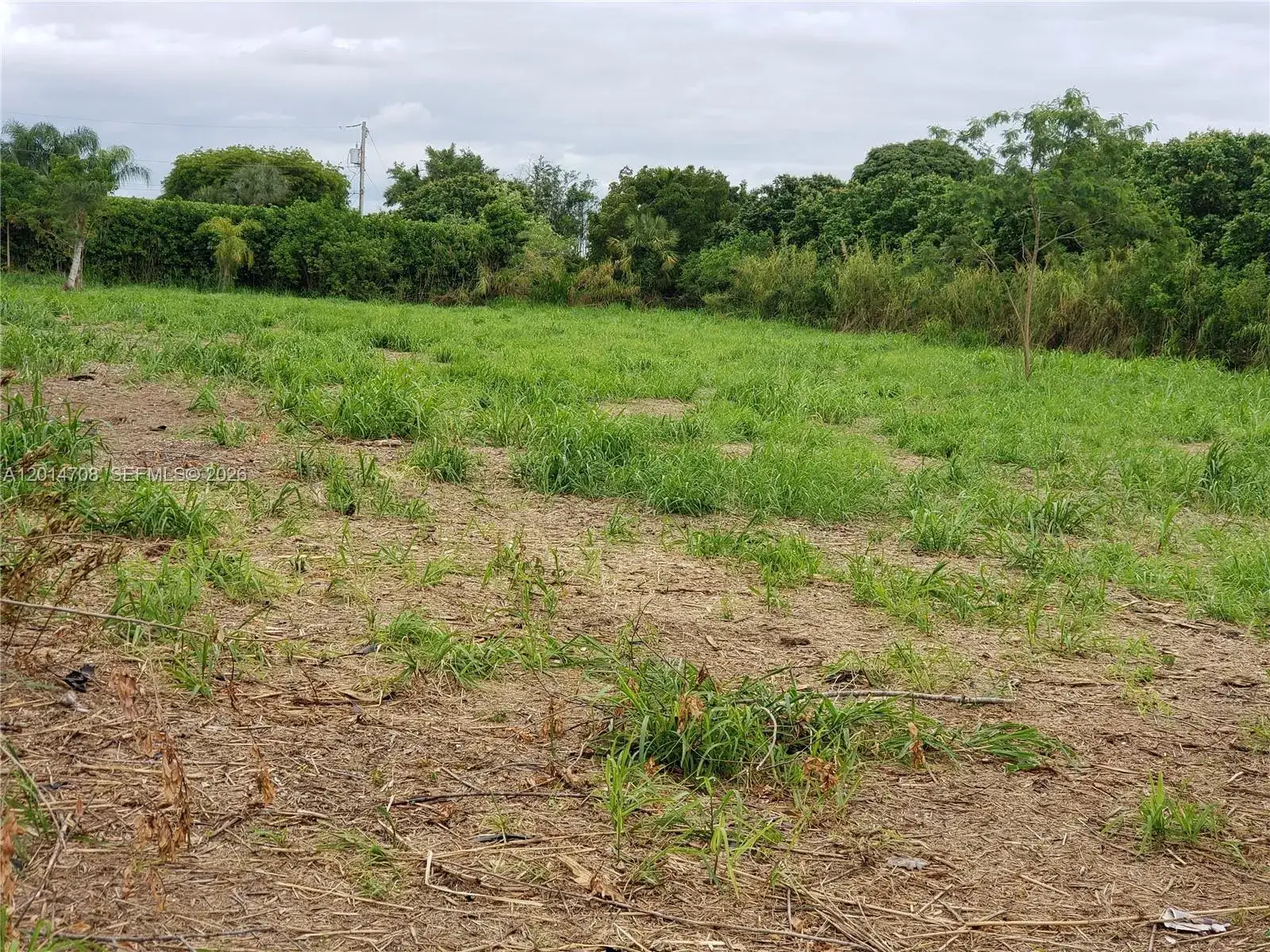 Commercial Land for sale at 0, Homestead FL 33030