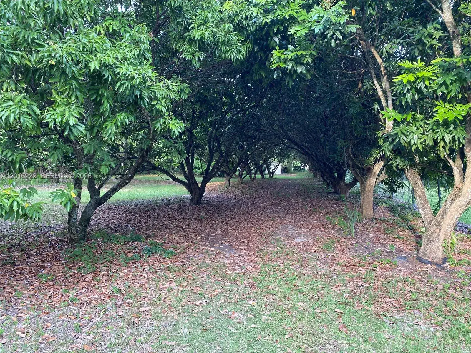Commercial Land for sale at 19675 SW  165 Avenue, Miami FL 33187