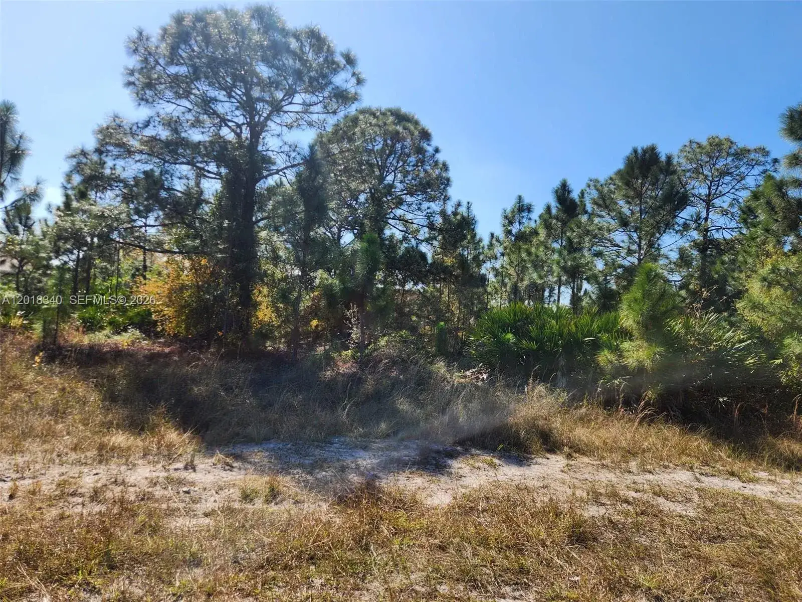 Land/Boat Docks for sale at 706 JOHNS AVE, Lehigh Acres FL 33972