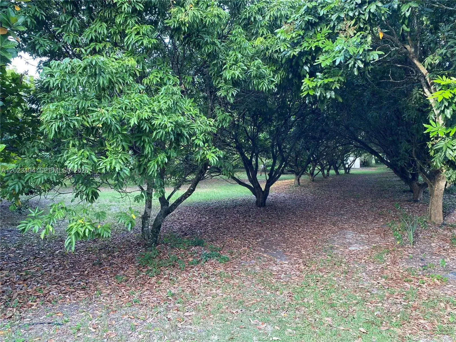 Land/Boat Docks for sale at 19675 SW 165 AVENUE, Miami FL 33187