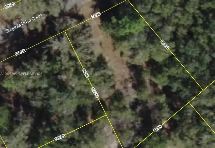 Lot 14 Sequoia Drive Court, Ocala FL 32179