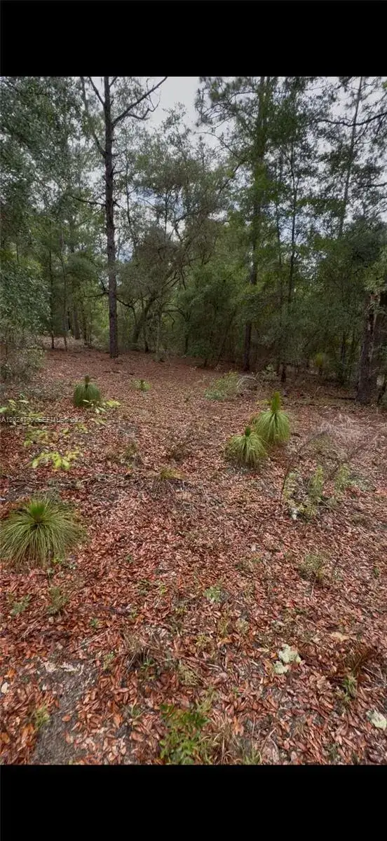 1373 SW 153rd Ave, Ocala FL 34481