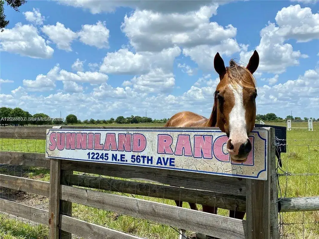12245 NE 56th Ave, Okeechobee FL 34972