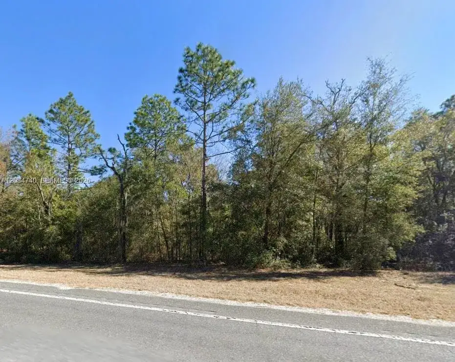 Land/Boat Docks for sale at Lot 2 STR 121, Williston FL 32696