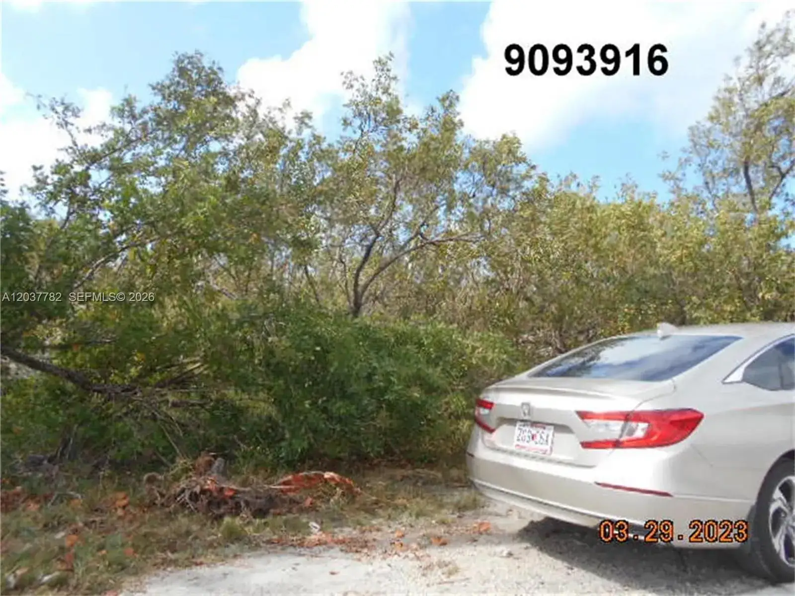 Land/Boat Docks for sale at 27334 Saint Lucie Ln, Big Pine FL 33042