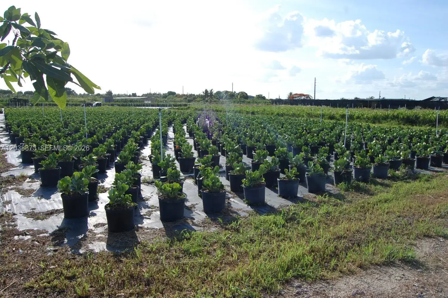 Business Opportunity for sale at 13648 SW 177 ave, Homestead FL 33196