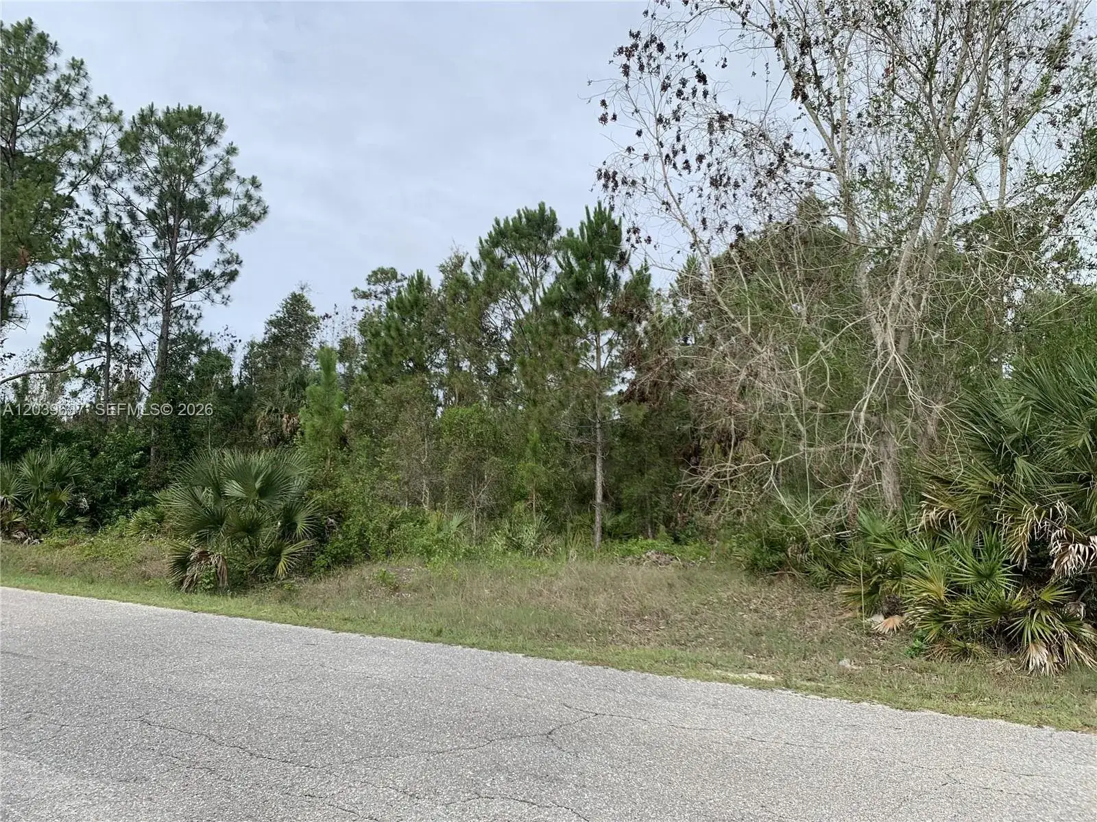 Land/Boat Docks for sale at 1019 Cleveland, Lehigh Acres FL 33972