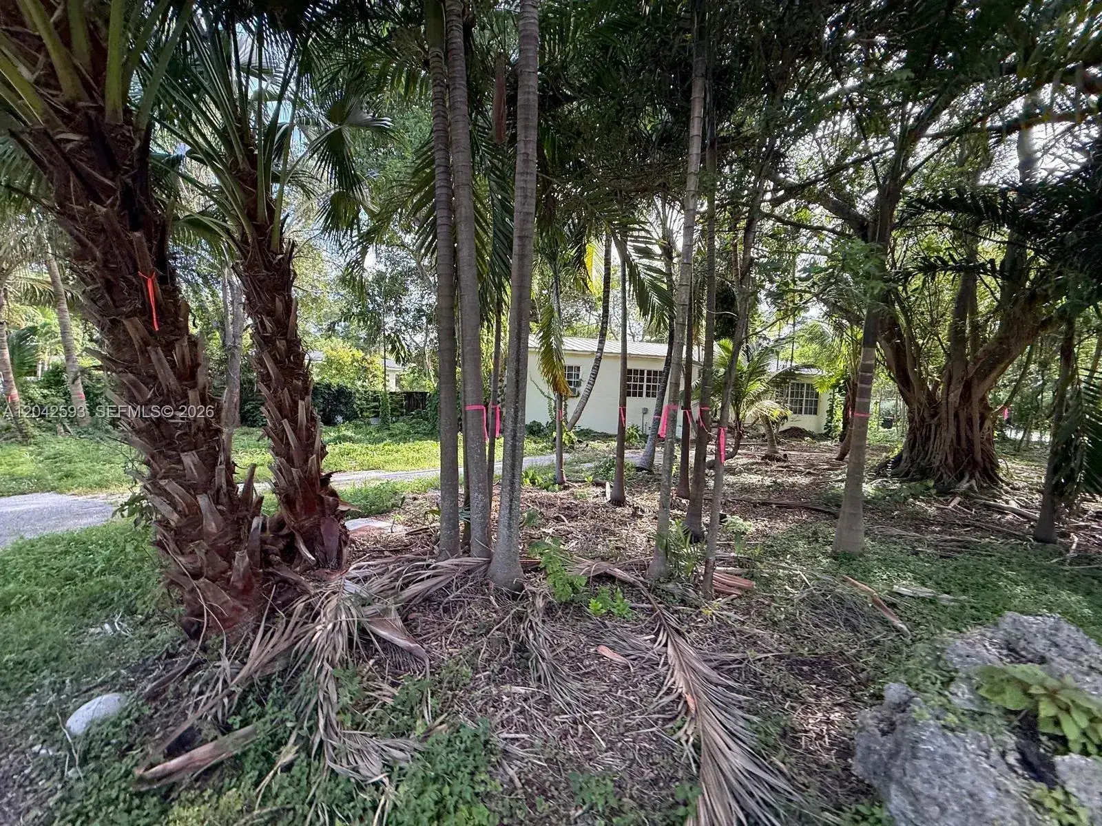 6600 SW 64th Ct, South Miami FL 33143