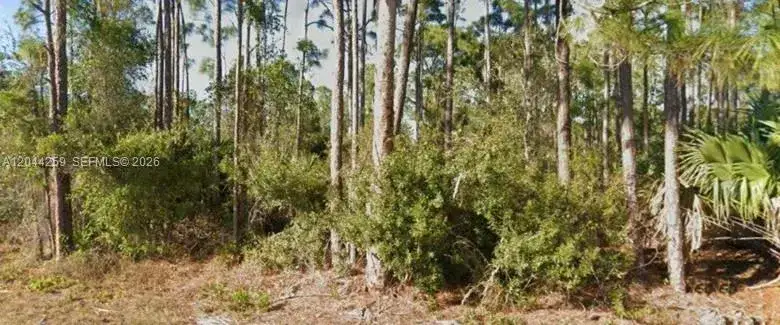 Land/Boat Docks for sale at 26442 Scham Rd, Punta Gorda FL 33955