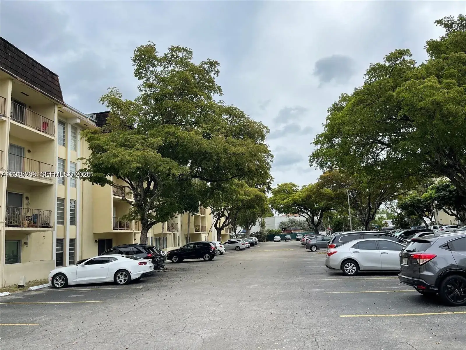 1 bedroom 1 bath Residential for sale at 12035 NE 2nd Ave # A209, North Miami FL 33161