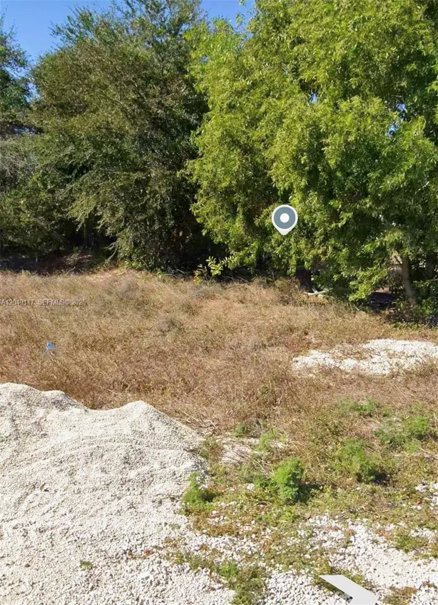Commercial Land for sale at 2908 Donald Ave S, Lehigh Acres FL 33976