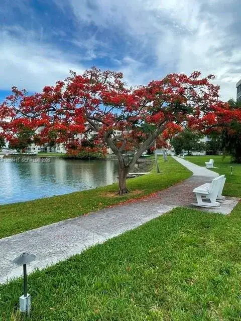1 bedroom 1 bath Residential for sale at 2855 Leonard Dr # H511, Aventura FL 33160