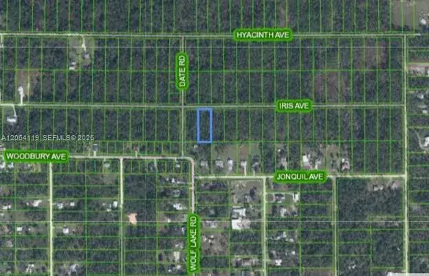 Land/Boat Docks for sale at 1141 Iris Ave, Sebring FL 33875