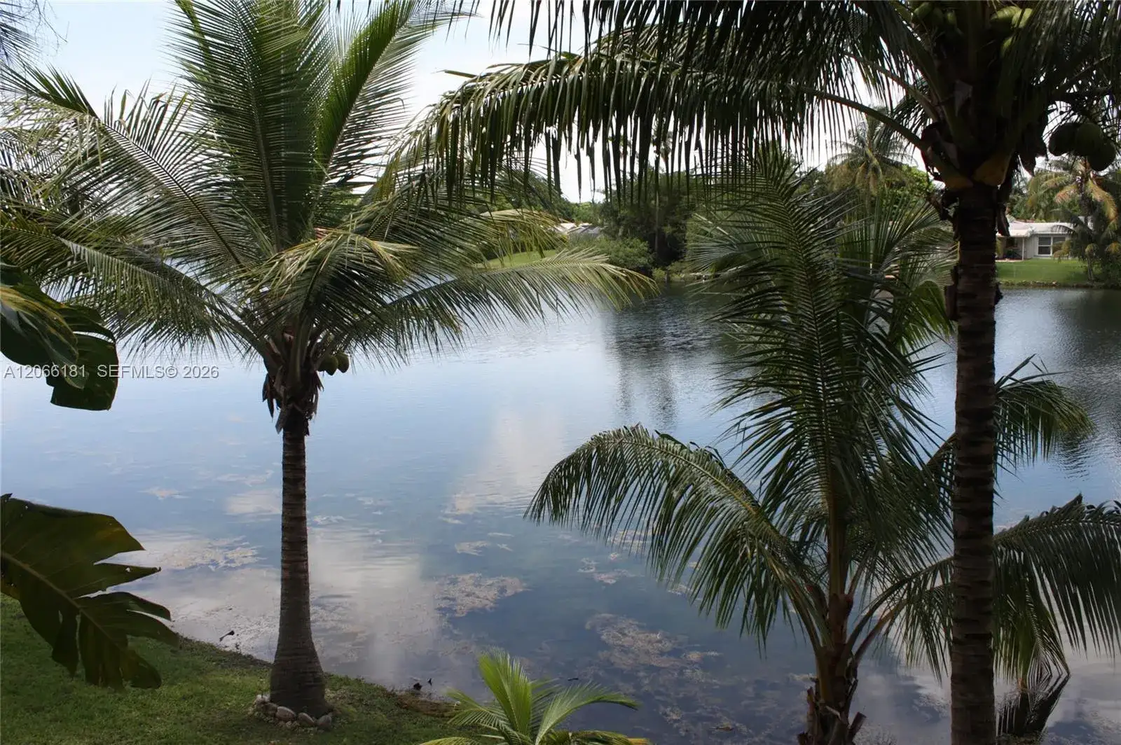 1 bedroom 1 bath Residential for sale at 14211 N Kendall Dr # 207E, Miami FL 33186