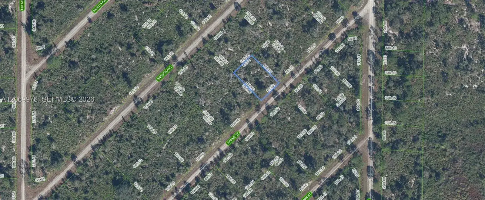 Land/Boat Docks for sale at 3451 Lake June, Lake Placid FL 33852