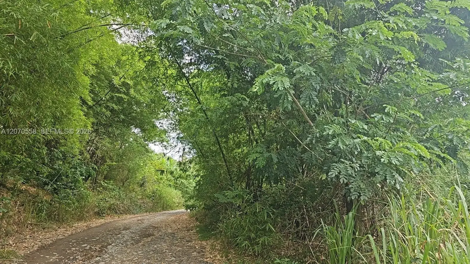 Land/Boat Docks for sale at 00 FORT GEORGE, SAINT MARY, JAMAICA, FL