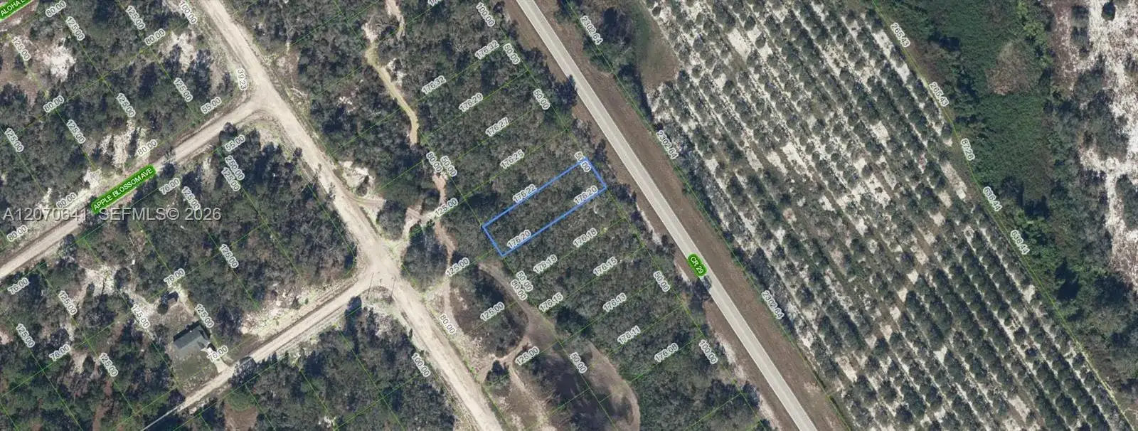 903 COUNTY ROAD 29, Lake Placid FL 33852