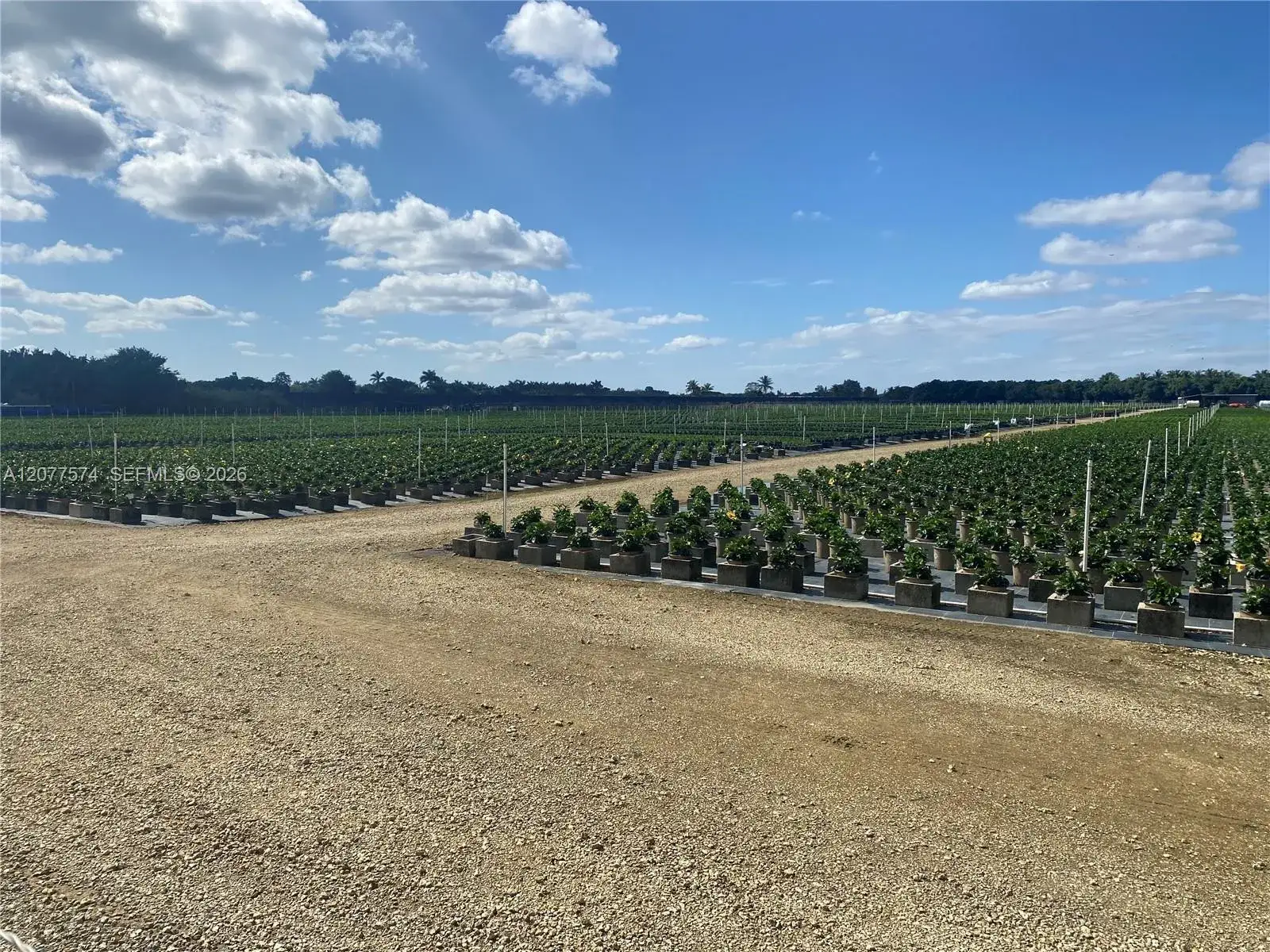 Commercial Land for sale at Richard Road SW 197 Ave, Homestead FL 33031