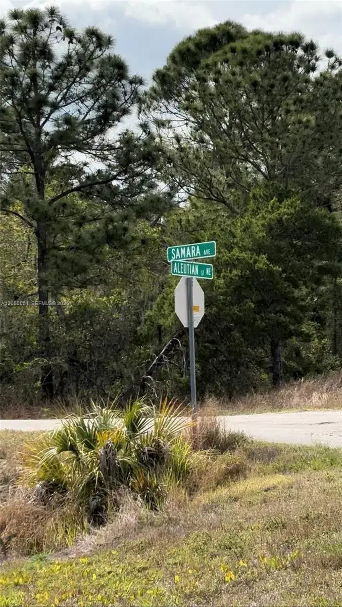 Land/Boat Docks for sale at 1215 Aleutian St NE, Lake Placid FL 33852