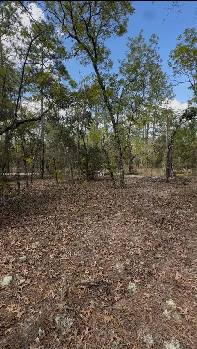 Commercial Land for sale at SW SW INDIAN HILL DR, Ocala FL 34431