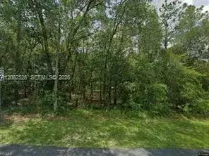 Land/Boat Docks for sale at 5210 E BACKNER LN34452, Inverness FL 34452