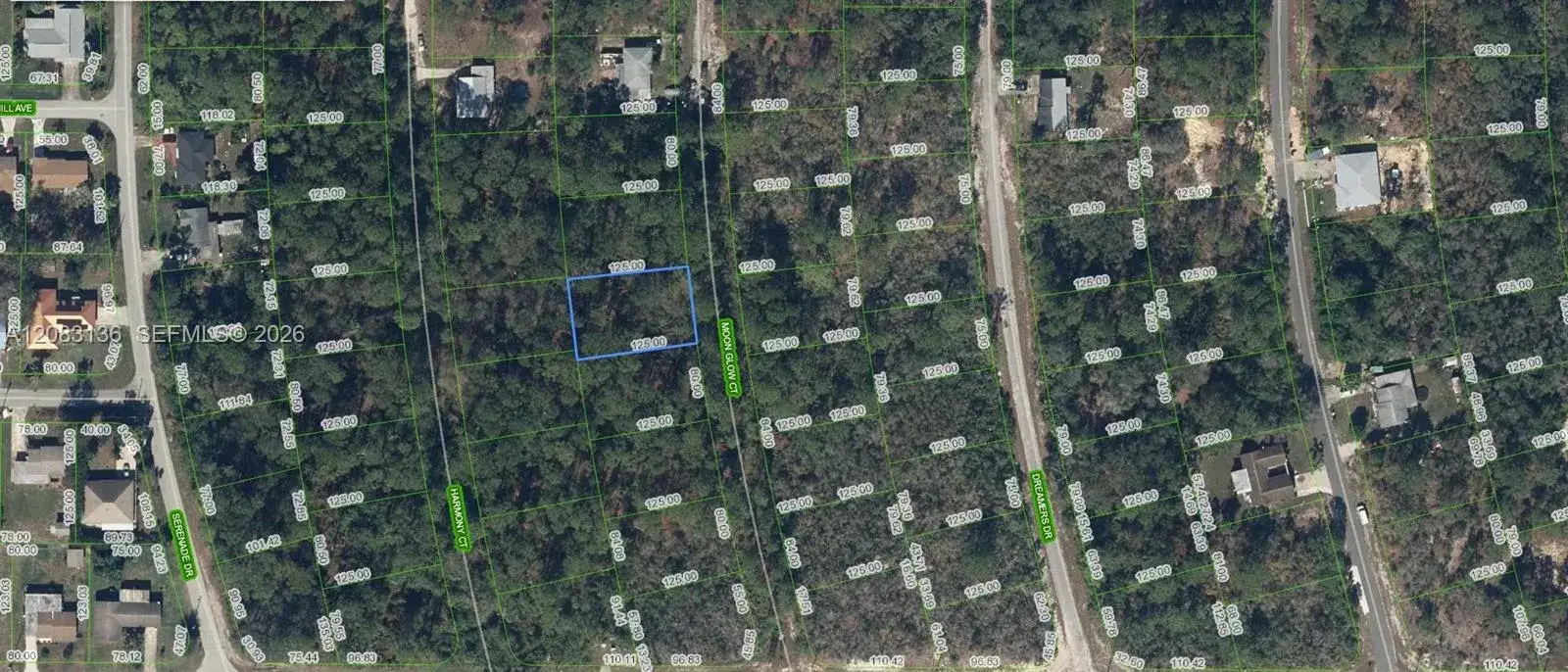 218 Moon Glow Court, Lake Placid FL 33852