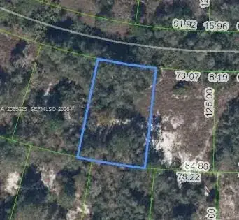 Land/Boat Docks for sale at 783 Clair De Lune DR, Lake Placid FL 33852
