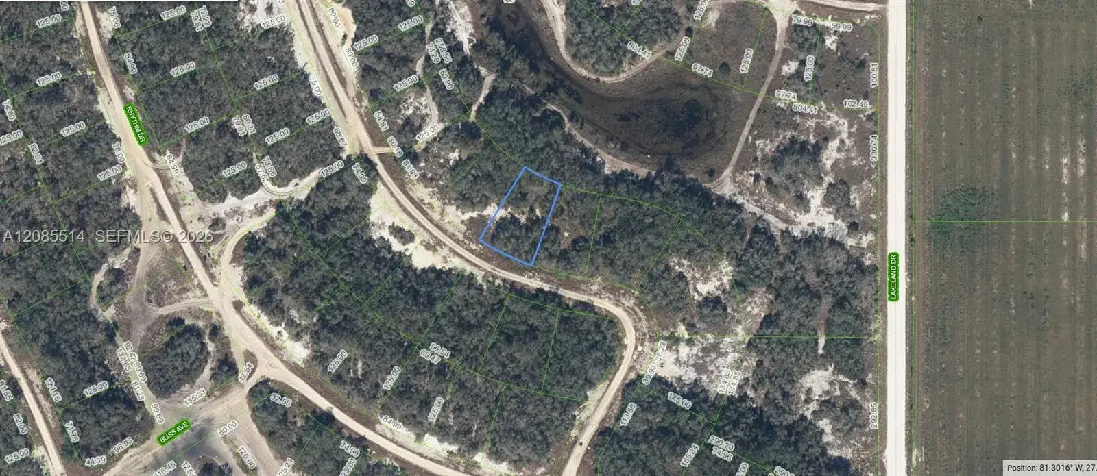 Land/Boat Docks for sale at 213 Dargen Dr, Lake Placid FL 33852