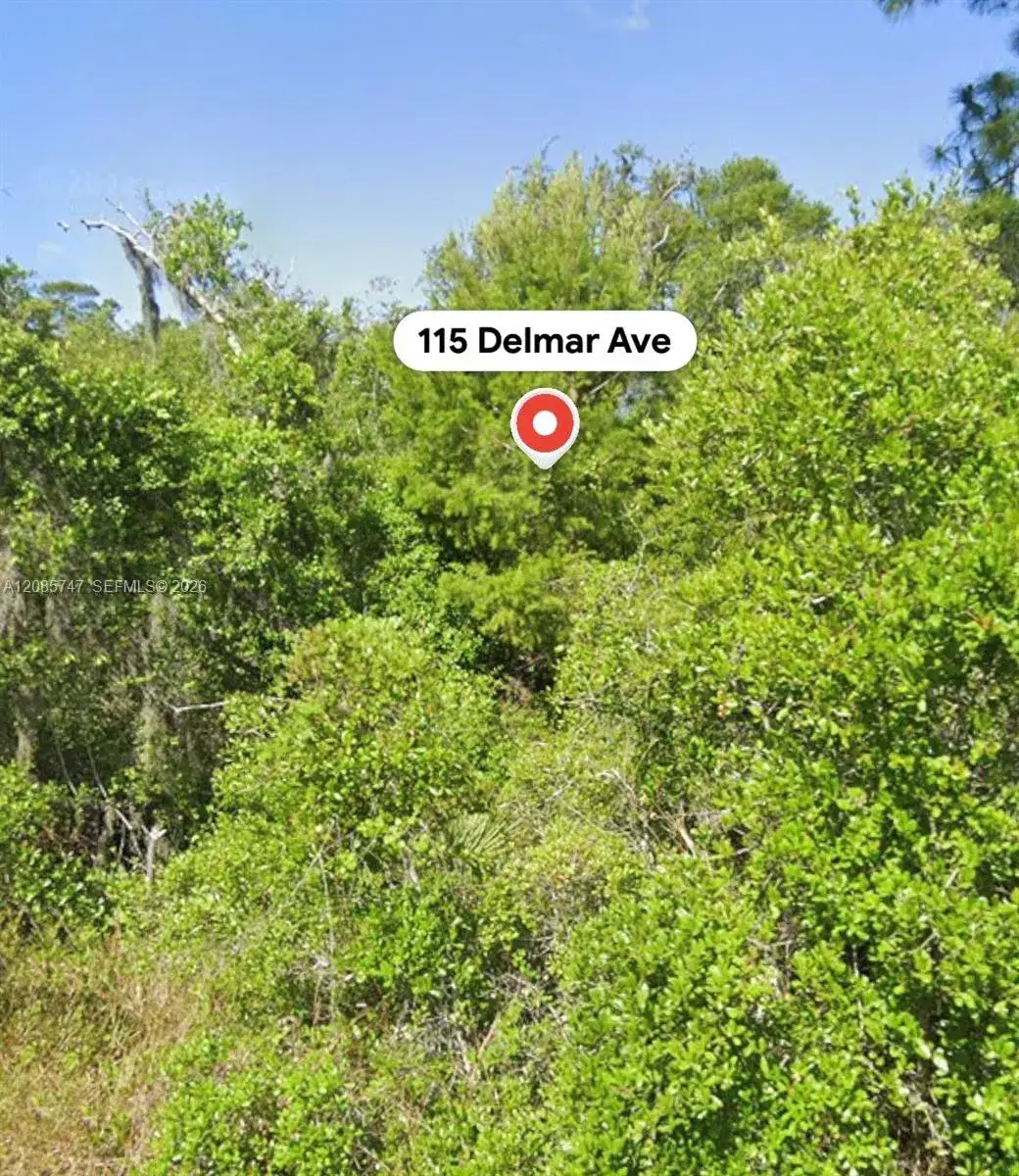 Land/Boat Docks for sale at 115 Delmar Ave, Lake Placid FL 33852