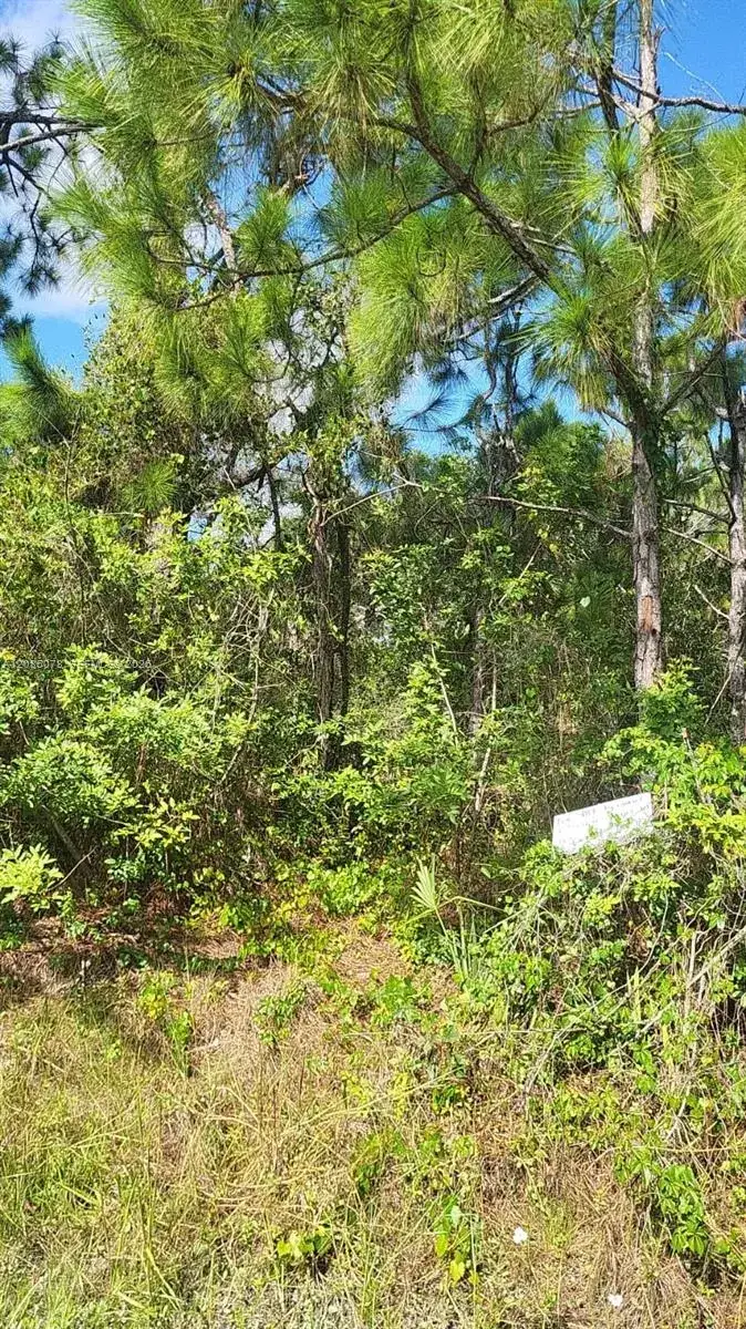 Land/Boat Docks for sale at 29256 MARIS DR, Punta Gorda FL 33982