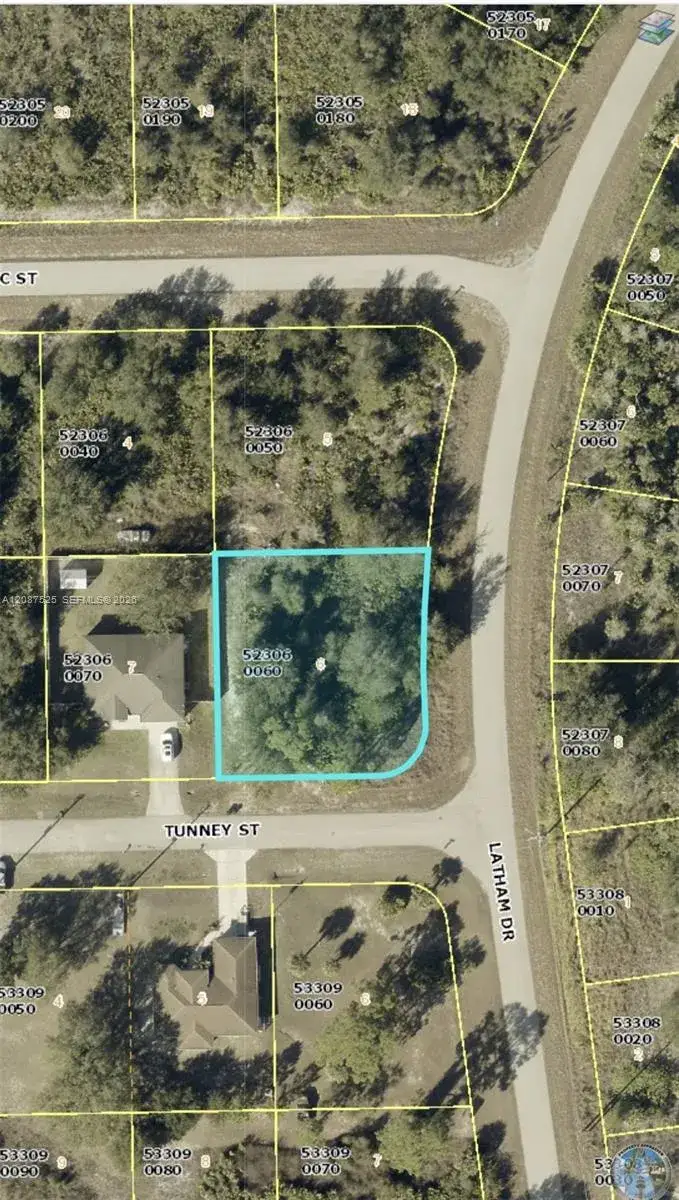 Land/Boat Docks for sale at 710 Tunney Street, Lehigh Acres FL 33972