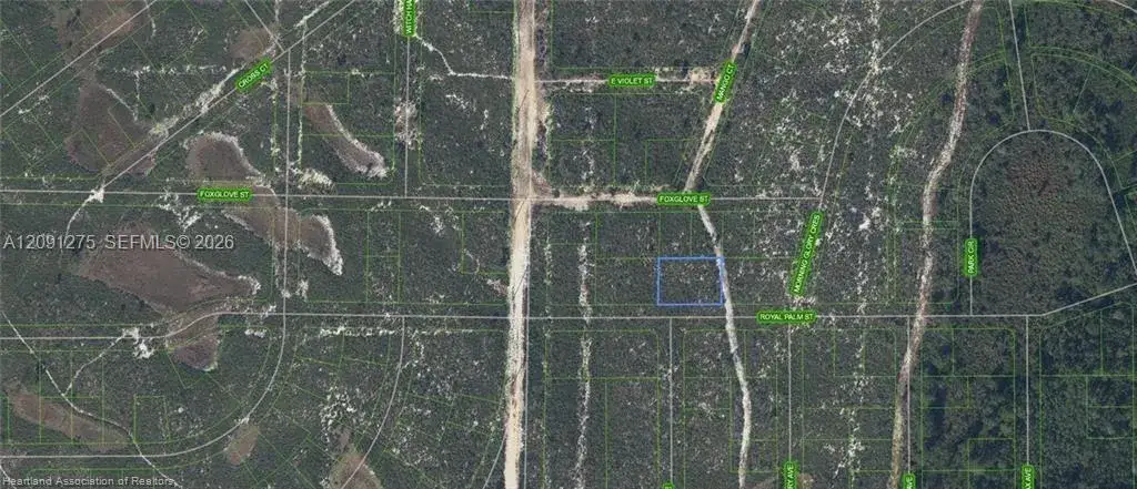 6033 Royal Palm St, Sebring FL 33870