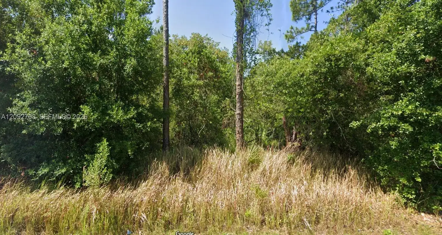 8637 Primavera Street, Sebring FL 33872