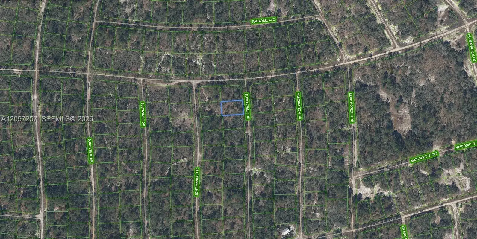 272 Sun Flower Dr, Lake Placid FL 33852