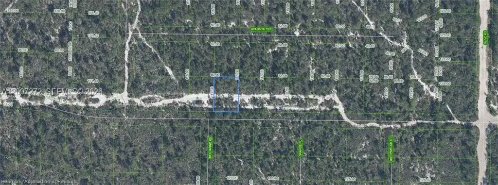 1238 Hyacinth Avenue, Sebring FL 33875