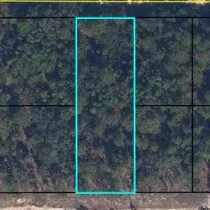Land/Boat Docks for sale at 6183 Juilliard Avenue, FL 32656