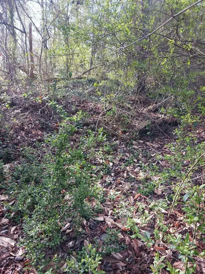 Commercial Land for sale at 000 158 Lane, FL 32024