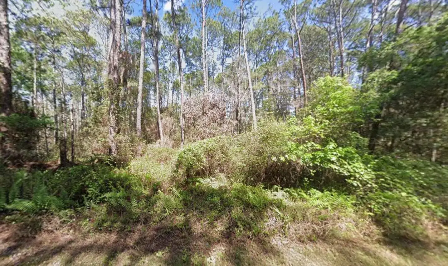 Commercial Land for sale at 416 Palm Way, FL 32139