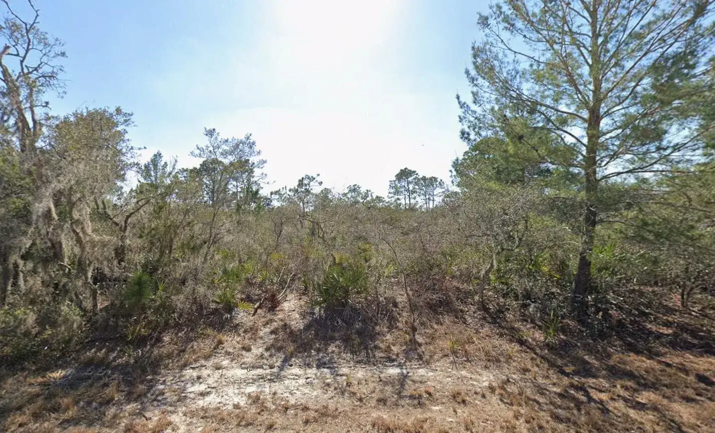Commercial Land for sale at 3235 N Dahlia Drive, Lake Placid FL 33852