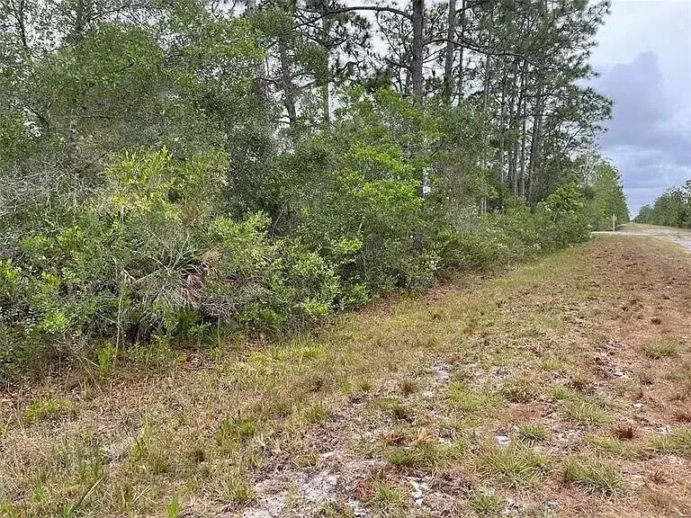 Commercial Land for sale at 0 Bougainvillea Drive, FL 33855