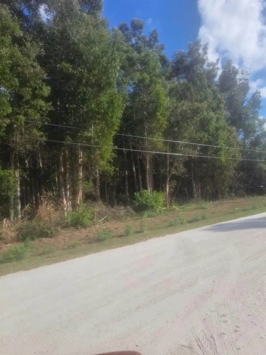 Commercial Land for sale at 14845 62nd Court N, FL 33470