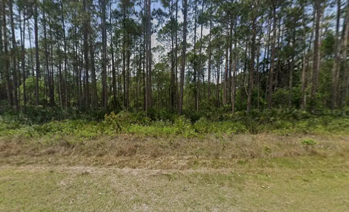 Commercial Land for sale at 141 E Boundary Drive, FL 32139