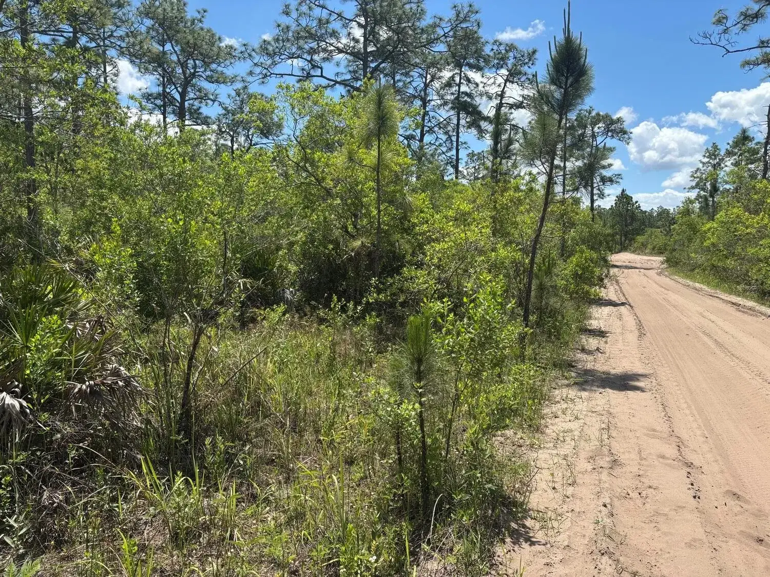 Commercial Land for sale at 0 Holopaw Groves Road, FL 34772