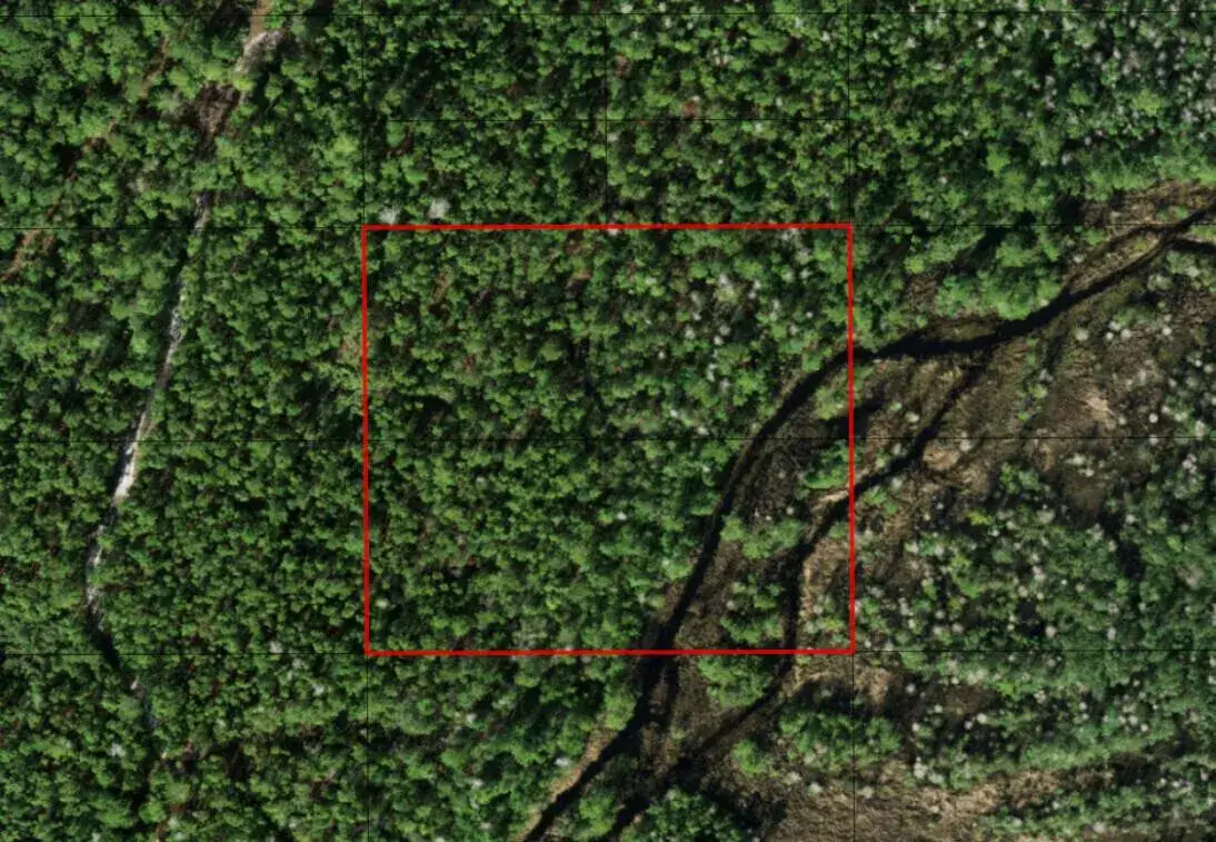 Commercial Land for sale at 0 Holopaw Groves Road, FL 34772
