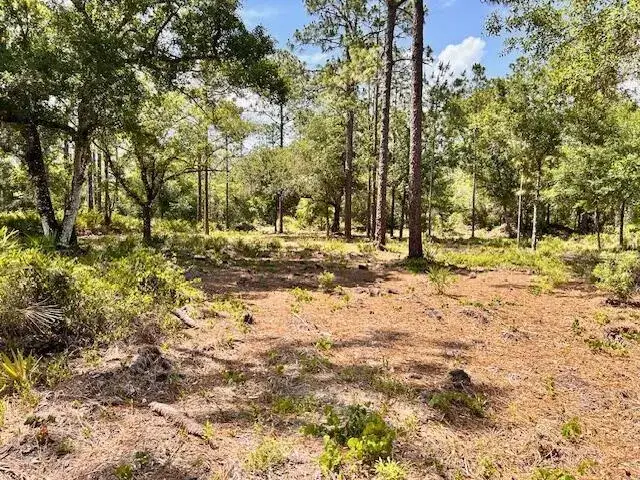 Commercial Land for sale at 1116 Belmonte Drive, FL 33855