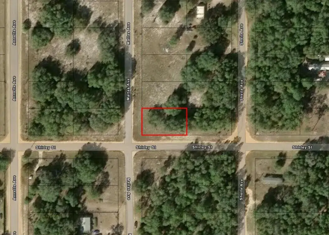 Land/Boat Docks for sale at 0 Shirley Street, FL 32148