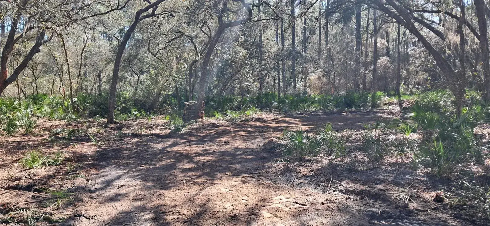 Commercial Land for sale at 119 Gardenia Avenue, FL 32139